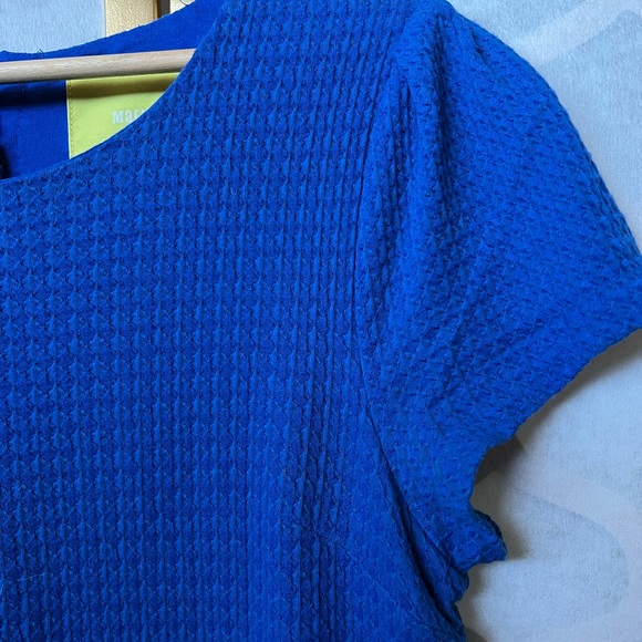 ANTHROPOLOGIE | Maeve Capsleeve Shift Dress - Picture 4 of 7